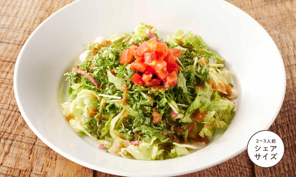 シェアサイズ彩り野菜のグリーンサラダ
