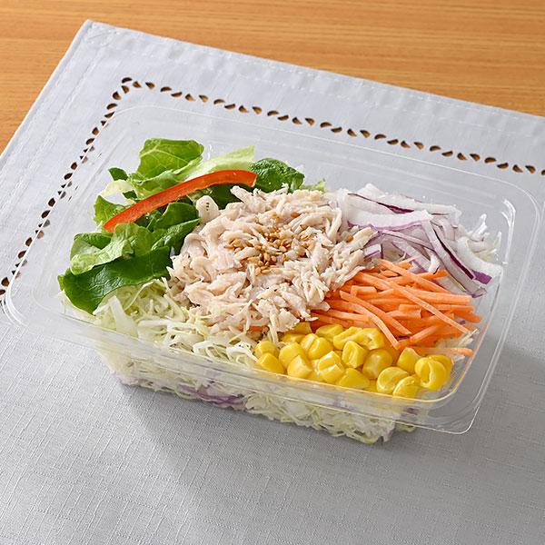 13日分の野菜サラダ